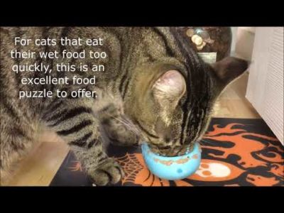 cat wet food puzzle