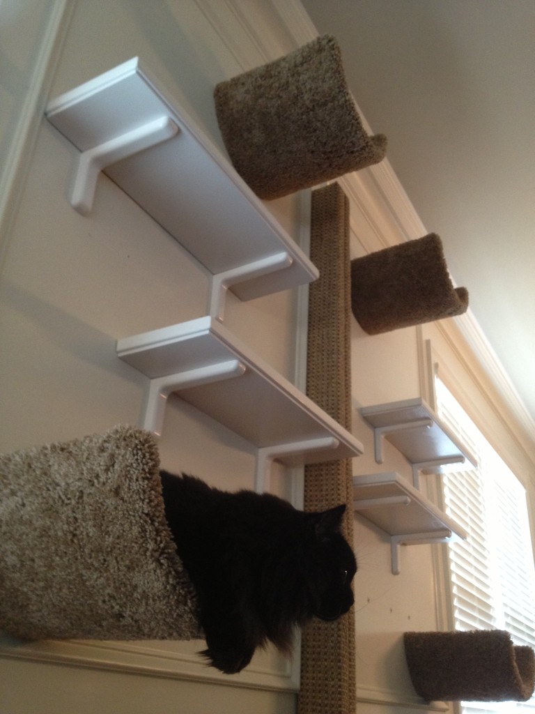 The Living Room Wall Project - Fundamentally Feline