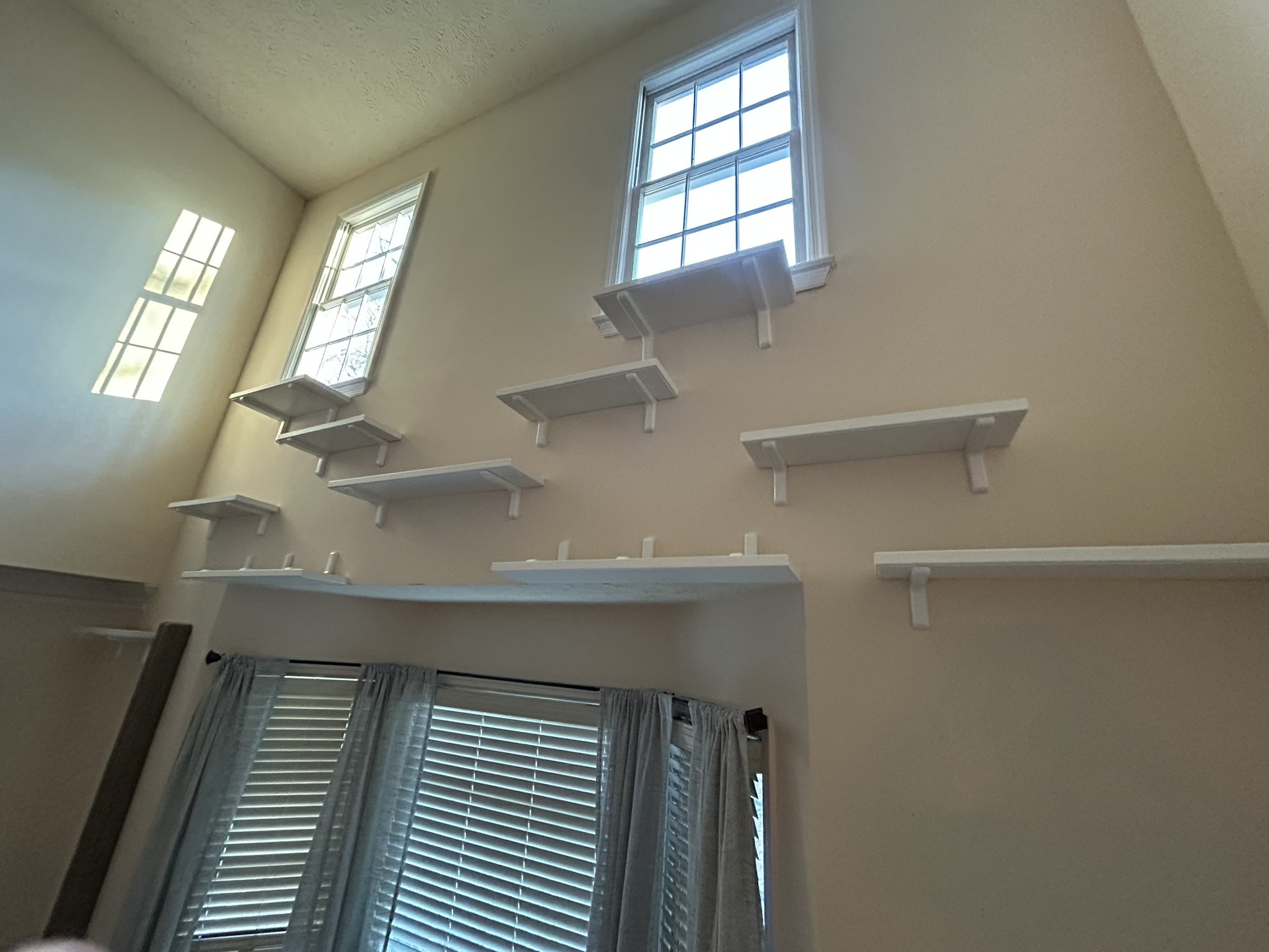 These high ceilings with elevated windows are just the best for cats!