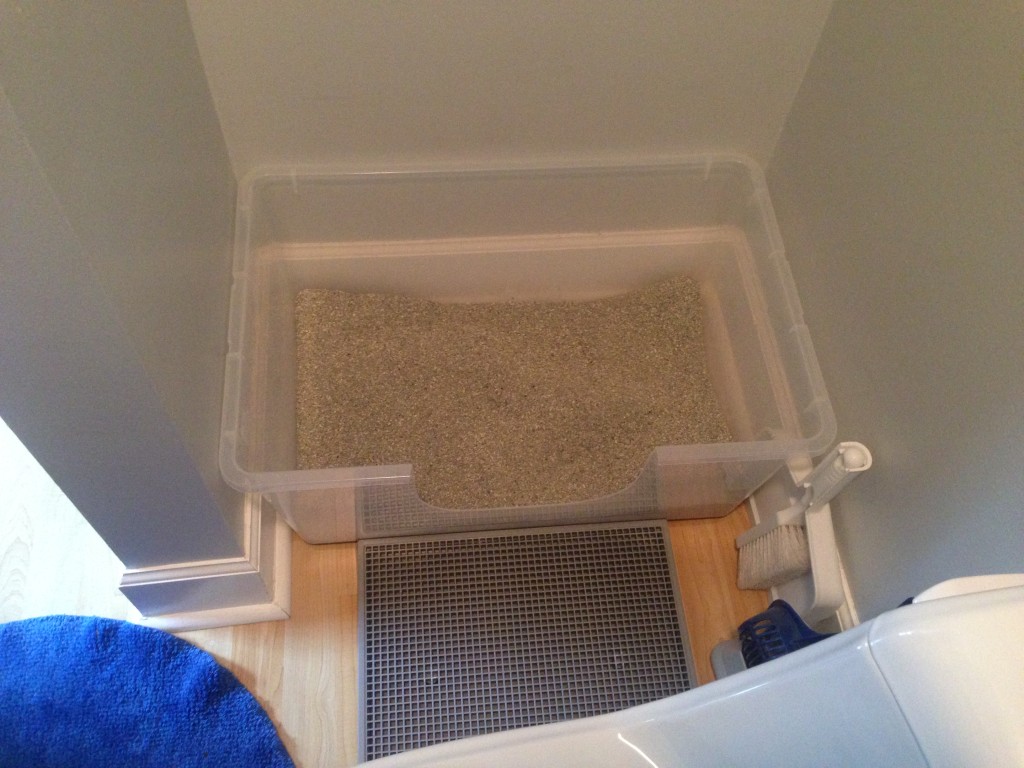 Litter boxes: get the scoop! What kind, how many and where ...