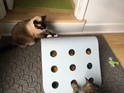 IKEA hack-DIY Food Puzzle for Cats! - Fundamentally Feline