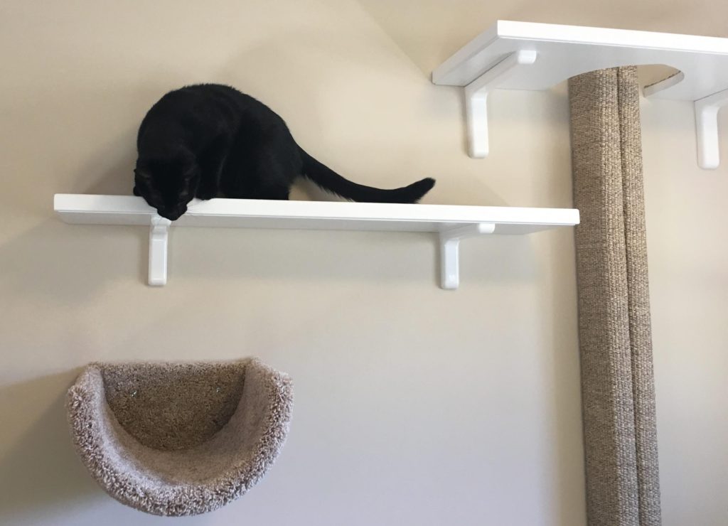 Wall Mounted Scooped Beds/Cat Floor Rocker - Fundamentally Feline