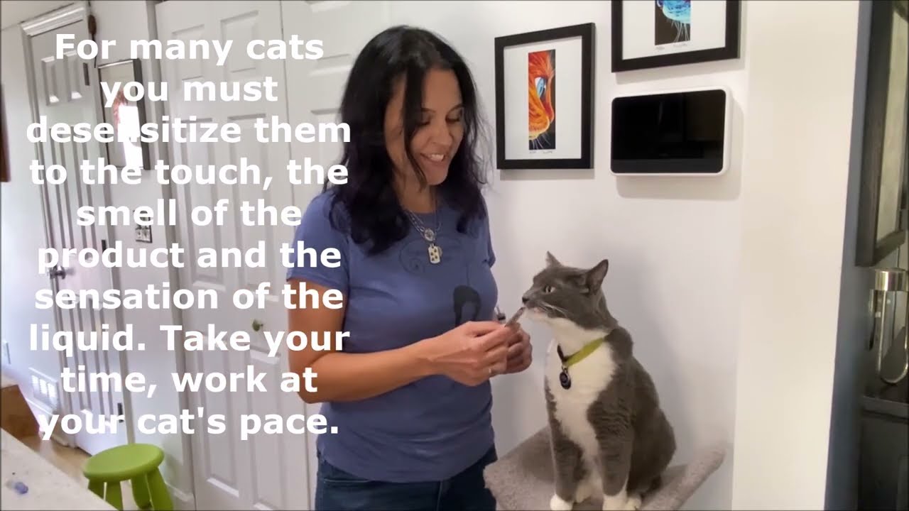 How-to Videos - Fundamentally Feline